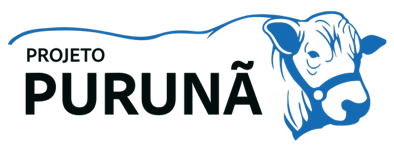 Projeto Purunã